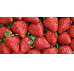 Naklejka z laminatem