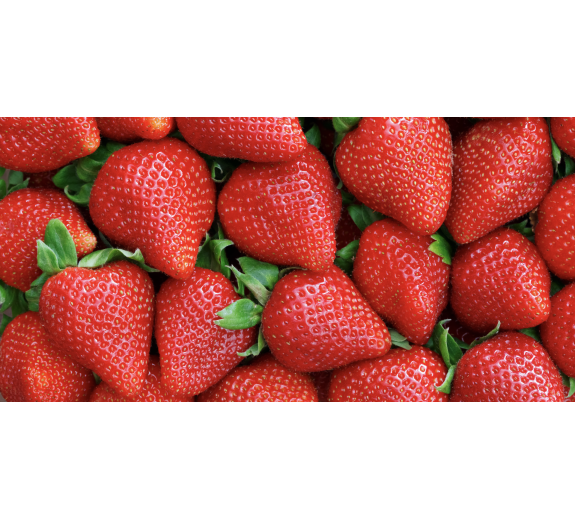 Naklejka z laminatem