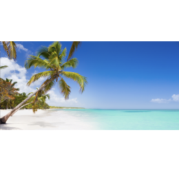 Naklejka z laminatem