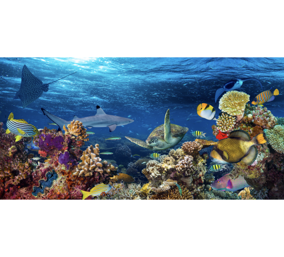 Naklejka z laminatem