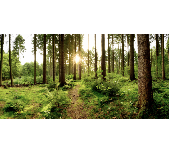 Naklejka z laminatem