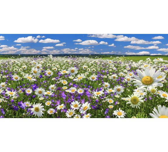 Naklejka z laminatem