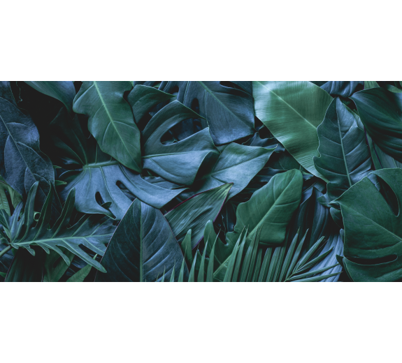 Naklejka z laminatem