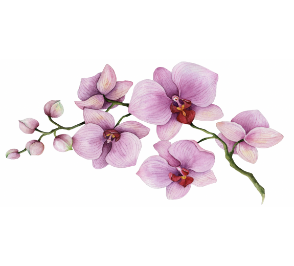 Naklejka z laminatem